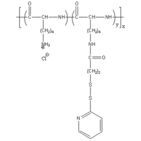 PLKC-g-PDP 聚L赖氨酸盐酸盐接枝硫醇 聚氨基酸 Poly(L-lysine hydrochloride) Graft Thiol
