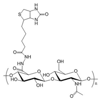 透明质酸-生物素(单分子) HA-Biotin(mono) | Mono-Biotin Labeled Hyaluronan (hyaluronic acid)