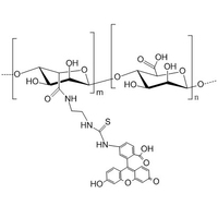 海藻酸-荧光素 荧光标记 Alginate-FITC | Alginate Fluorescein (Fluorescein-labeled Alginic Acid)