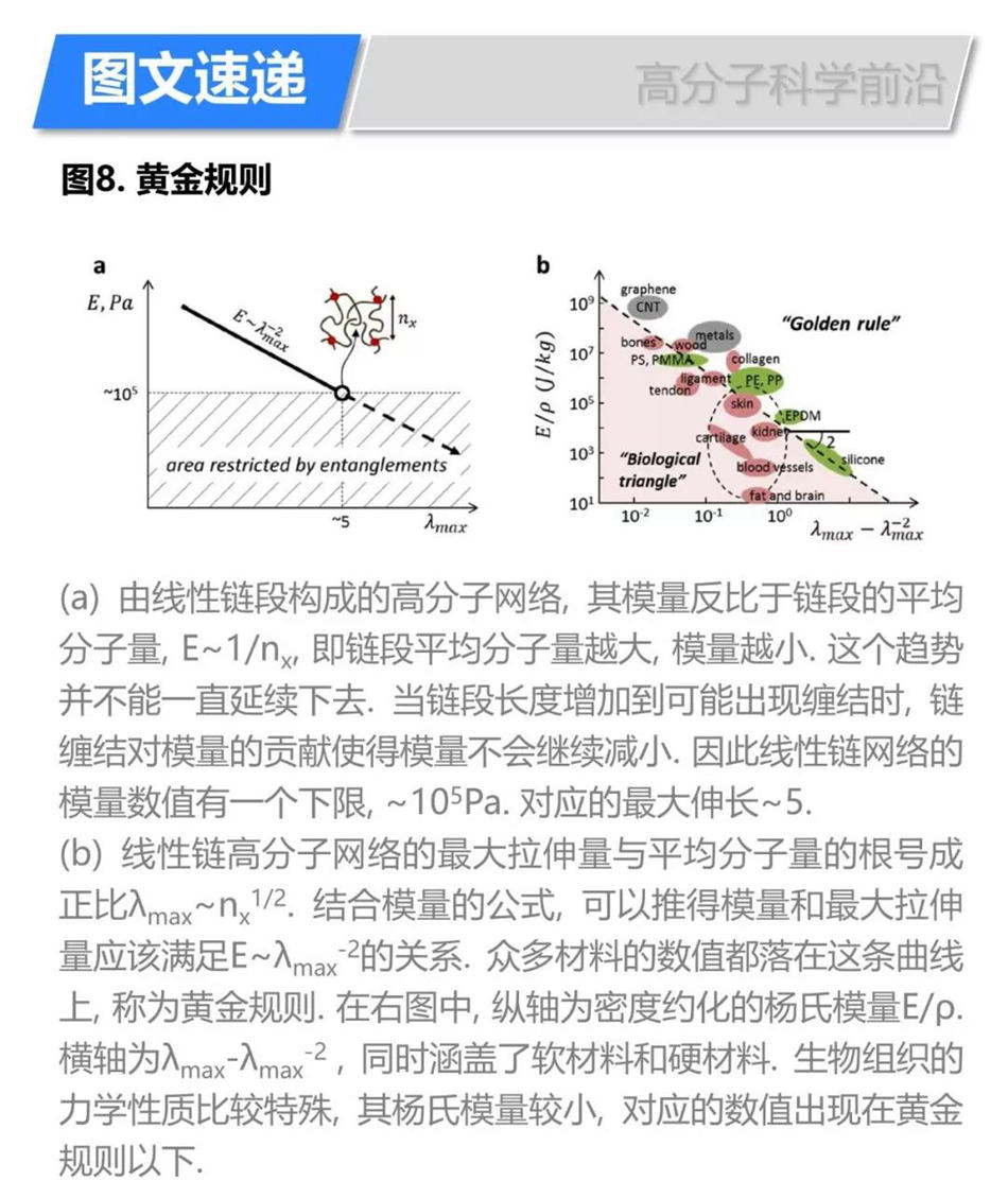 结构设计调节高分子网络弹性:从超软到超硬材料《Macromolecules》 - 高分子基础数据库