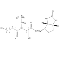 BT-PLKB 聚L赖氨酸氢溴酸盐-生物素 端基修饰 Poly(L-lysine hydrobromide) Biotin