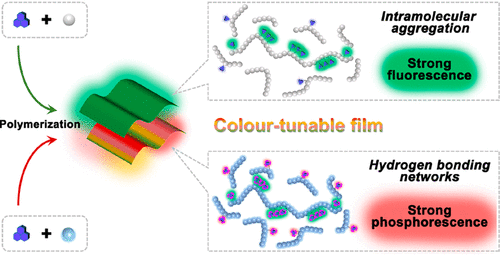 分子内聚集和氢键作用下的颜色可调二元共聚物.gif