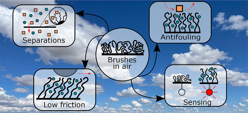 空气中聚合物刷的基本原理和应用.gif