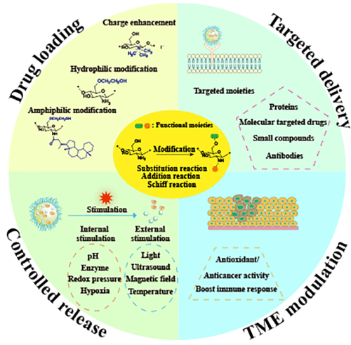 壳聚糖的化学改性用于开发肿瘤纳米药物.gif