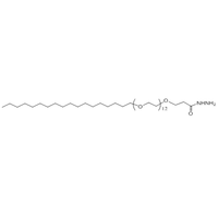 C18-PEG12-Hydrazide 十二乙二醇十八烷基醚-酰肼 自组装PEG表面活性剂