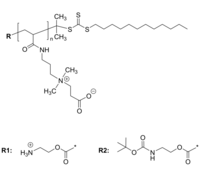 PCBAM/PCBAMD 聚(羧基甜菜碱丙烯酰胺) 两性离子聚合物 Poly(carboxybetaine acrylamide)
