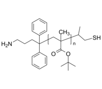 NH2-PtBuMA-SH 氨基-聚甲基丙烯酸叔丁酯-硫醇 Poly(tert-butyl methacrylate), (α-amino, ω-thiol)-terminated