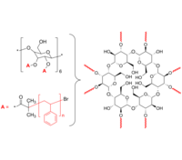 8-Arm PS 8臂星形-聚苯乙烯 Poly(styrene), 8-arm star polymer / Core: α-Cyclodextrin