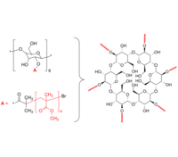 6-Arm PMMA 6臂星形-聚甲基丙烯酸甲酯 Poly(methyl methacrylate), 6-arm star polymer / Core: α-Cyclodextrin