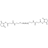 聚乙二醇-双(琥珀酰胺琥珀酰亚胺) SAS-PEG-SAS (Bifunctional PEG Succinimidyl ester NHS-PEG-NHS)