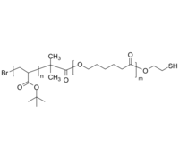 Br-PtBuA-PCL-SH 溴基-聚丙烯酸叔丁酯-聚己内酯-硫醇 二嵌段共聚物