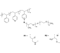 PS4VPQEOPO 聚苯乙烯共(4-乙烯基吡啶, PPO-PEO二嵌段共聚物季铵化) 含接枝嵌段的无规共聚物