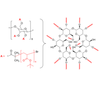 13-Arm PtBuA 13臂星形-聚丙烯酸叔丁酯 Poly(tert-butyl acrylate), 13-arm star polymer / Core: α-Cyclodextrin