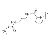 PLP 聚(L-脯氨酸) 聚氨基酸 亲水高分子均聚物 Poly(L-proline)