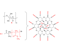 16-Arm PMMA 16臂星形-聚甲基丙烯酸甲酯 Poly(methyl methacrylate), 16-arm star polymer / Core: α-Cyclodextrin