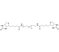 PEG-2Biotin 聚乙二醇-双生物素基 Poly(ethylene glycol), α,ω-bis(Biotinyl)-terminated