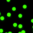 荧光氨基化聚苯乙烯微球/PS乳胶粒 高分子微纳米颗粒 Fluorescent Aminated PS Latex Particles