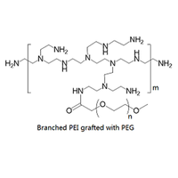 支化聚乙烯亚胺-接枝-聚乙二醇 接枝共聚物 PEG化聚乙烯亚胺 PEG-g-PEI (PEGylated branched PEI)