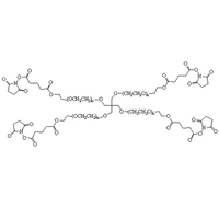 4臂星形-聚乙二醇-琥珀酰亚胺戊二酸酯 4-Arm PEG-SG (Multi-arm - PEG Succinimidyl Glutarate)
