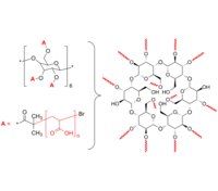 13-Arm PAA 13臂星形-聚丙烯酸 Poly(acrylic acid), 13-arm star polymer / Core: α-Cyclodextrin