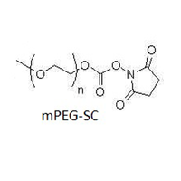 聚乙二醇-琥珀酰亚胺碳酸酯 mPEG-SC (PEG-NHS: Methoxy PEG Succinimidyl Carbonate NHS Ester)