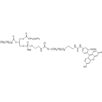磷脂-聚乙二醇-荧光素 荧光标记自组装PEG脂质体 DSPE-PEG-FITC (Fluorescein labeled PEG Lipid)