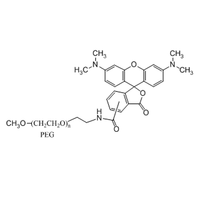 聚乙二醇-罗丹明 荧光标记 mPEG-Rhodamine (Fluorescent PEG Rhodamine)
