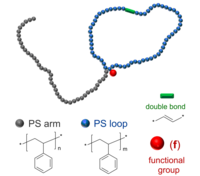 PS-P2VP-tadpole 聚苯乙烯-聚(2-乙烯基吡啶) 蝌蚪状两亲性二嵌段共聚物-功能化修饰 Poly(styrene)-b-poly(2-vinyl pyridine), tadpole