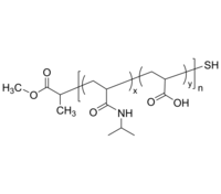 PNIPAMAAran-SH 聚(N-异丙基丙烯酰胺)共丙烯酸-硫醇 无规共聚物 Poly(N-isopropyl acrylamide-co-tert-butyl acrylate), random