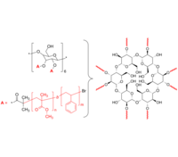 8-Arm PMMA-PS 8臂星形-聚甲基丙烯酸甲酯-聚苯乙烯 星形二嵌段共聚物