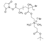 NHS-PCB 聚(2-叔丁氧基-N-(2-(甲基丙烯酰氧基)乙基)-N,N-二甲基-2-氧乙醇胺), α-N-羟基琥珀酰亚胺封端 羧基甜菜碱基两性离子聚合物