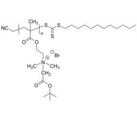 PDMAEMAQtBuAc 聚甲基丙烯酸二甲胺基乙酯-溴乙酸叔丁酯季铵化 两性离子聚合物