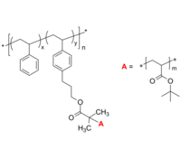 PS-g-PtBuA 聚苯乙烯-聚丙烯酸叔丁酯 接枝共聚物 Poly(styrene)-graft-poly(t-butyl acrylate), grafting on backbone