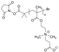 PCBMA-NHS 聚(甲基丙烯酸羧基甜菜碱), α-N-羟基琥珀酰封端 两性离子聚合物 Poly(carboxybetaine methacrylate)