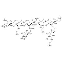 右旋糖酐-氨基 Dextran-NH2 | Dextran Amine (Dextran functionalized with primary amine)