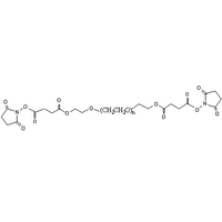 聚乙二醇-双(琥珀酰亚胺琥珀酸酯) SS-PEG-SS (Bifunctional PEG Succinimidyl Succinate NHS ester)