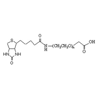 生物素-聚乙二醇-羧基 Biotin-PEG-COOH (Biotin PEG Carboxylic acid)