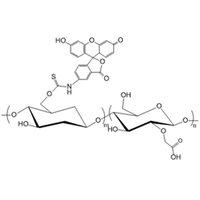 右旋糖酐-荧光素 荧光标记 CM-Dextran-FITC | CM-Dextran Fluorescein