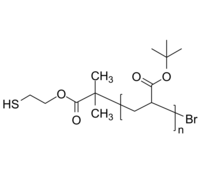 Br-PtBuA-SH 溴基-聚丙烯酸叔丁酯-硫醇 Poly(tert-butyl acrylate), (α-thiol, ω-bromo)-terminated